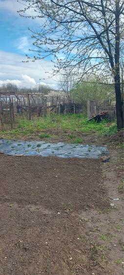 Casa + Hala de vanzare - 2