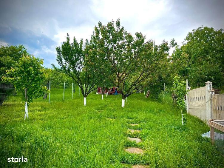 Casa 2 camere de inchiriat cu gradina, cartier Dambul Rotund - 7
