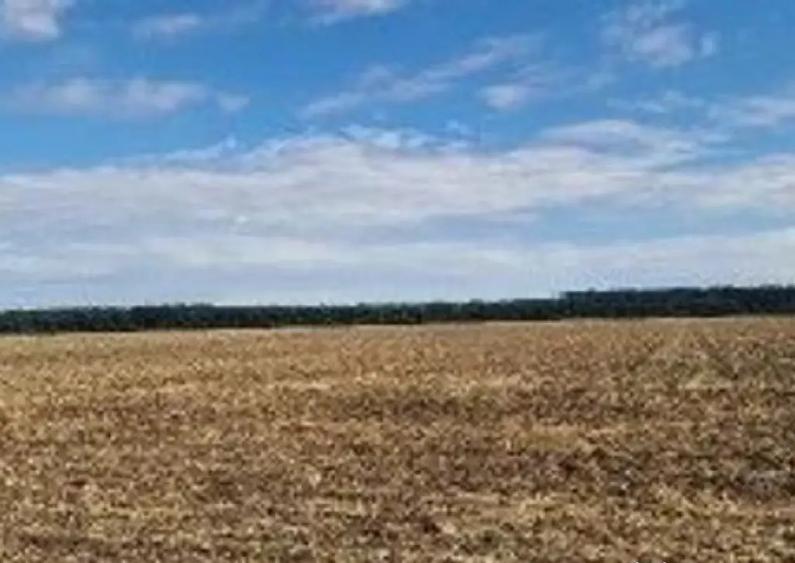 Teren extravilan Branesti, ID: R2649181 - 2