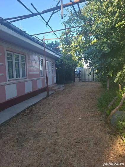 De vanzare casa la 15 min de Roman din caramida, 1600 mp teren, 37.000 euro - 8