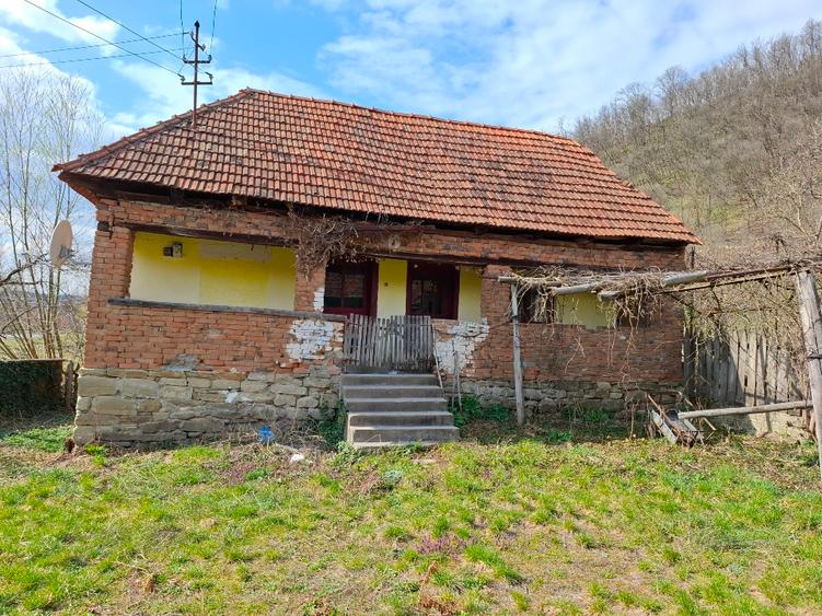 Vând casa Stancesti (Dobra) - 6