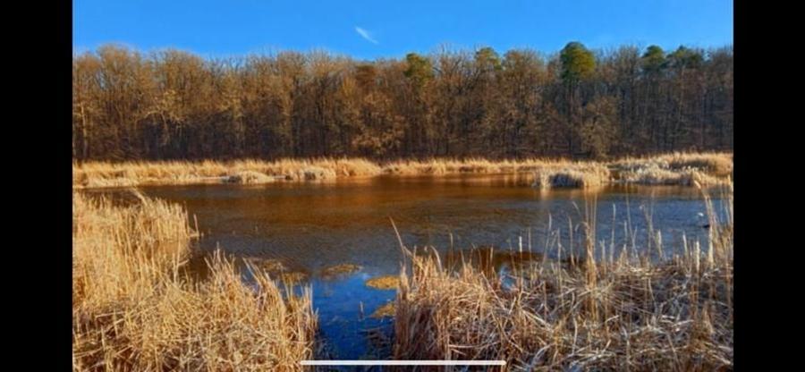 Teren Scrovistea- Balteni - 3