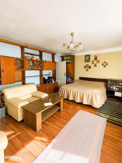 Casa generoasa de vanzare la tara - 2