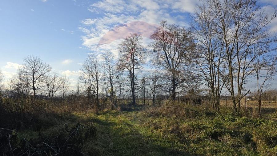 Teren  de vanzare in Fratautii Noi / Strada Dealului - 20