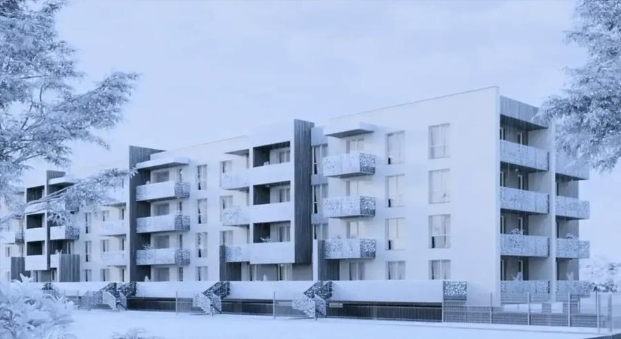 Spatiu cat sa ai Doi Brazi si ZERO Regrete - 4