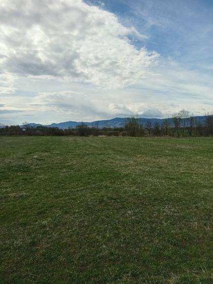 Teren de vinzare vicovu de sus 350 euro - 1