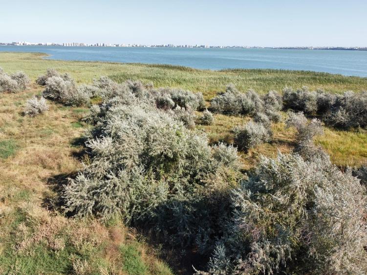 Teren de vanzare primul rand la lacul Siutghiol  Mamaia Sat - 3