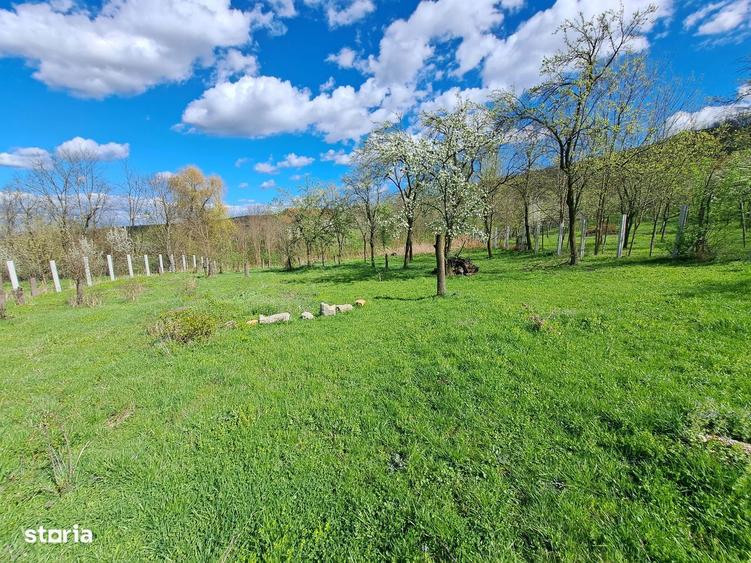 Teren de vanzare 3600mp, cu proiect si autorizatie- Berghin- Straja - 5