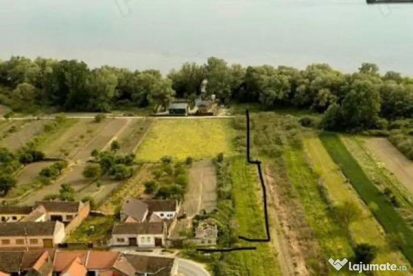 Teren de vanzare pe malul Dunarii Divici, Cara?-Sever - 3
