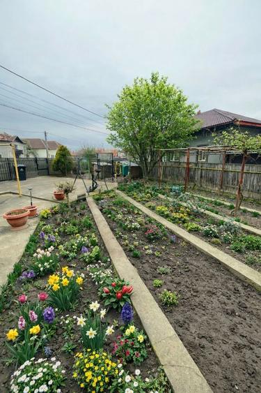 Casa renovata, mobilata, 200 mp mutare rapida - 2