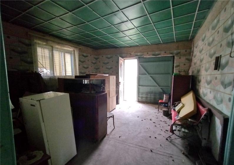 Bogodint, Casa 440mp cu 4 Hectare Teren, Pret Negociabil - 1