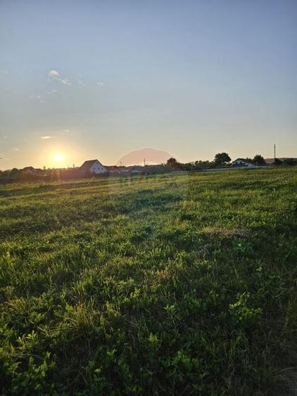 Teren 1,495mp Dobreni / Strada Parau Almas - 25