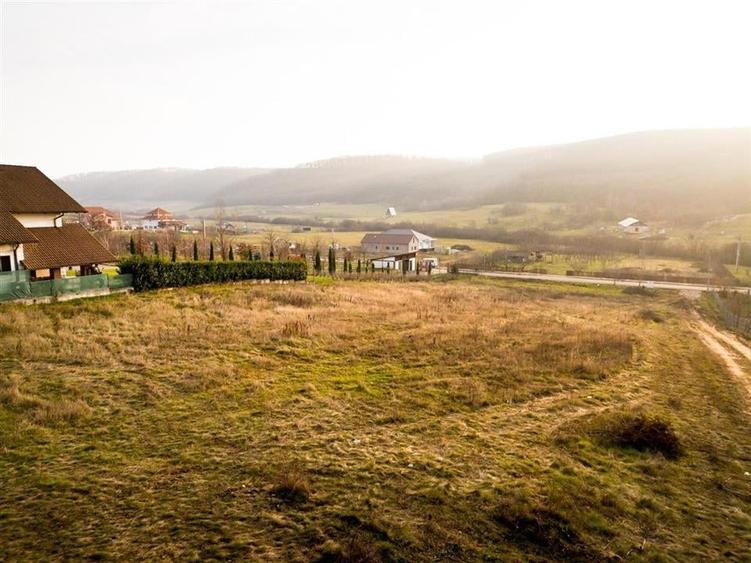 RECO Teren intravilan  langa padure-  PUZ    aprobat -Betfia, aproape de Baile F - 7