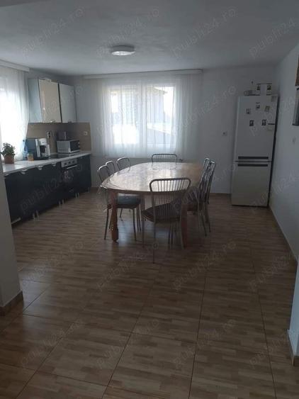 Casa sau Casa de vacanta Transalpina Sugag Alba - 3