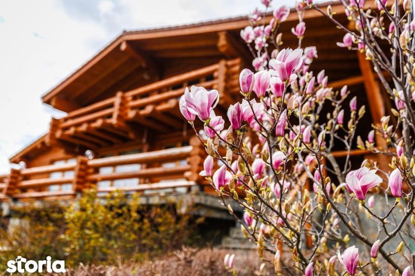 Casa de vacanta Breaza / 980 mp teren / view superb/ investi?ie - 4