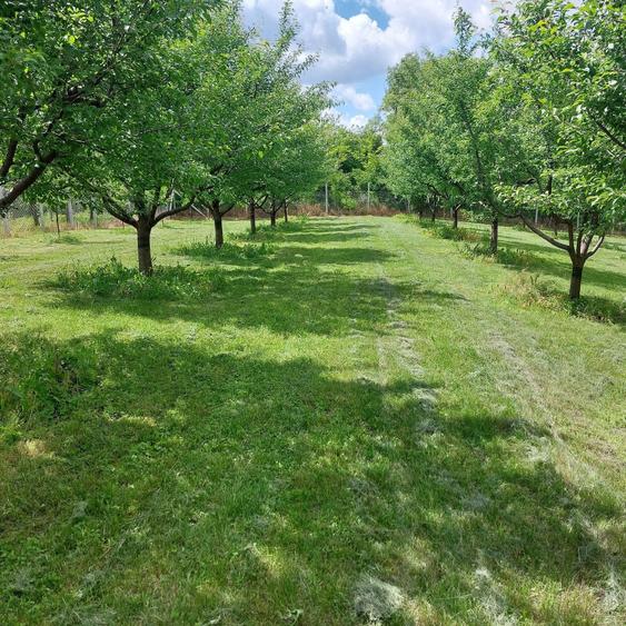 Teren intravilan - 1