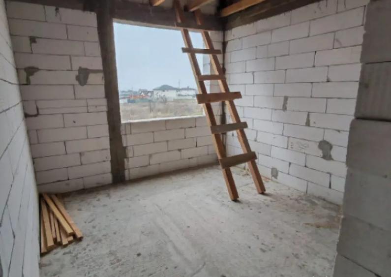 Casa Malu Mare - Capsunarie - Damila - 9