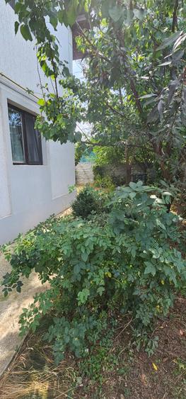 Vila tip dupex-gata de mutare/Com.Berceni - 4