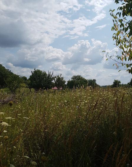 Parava, sat Dragusani, teren 4800mp, la asfalt - 10