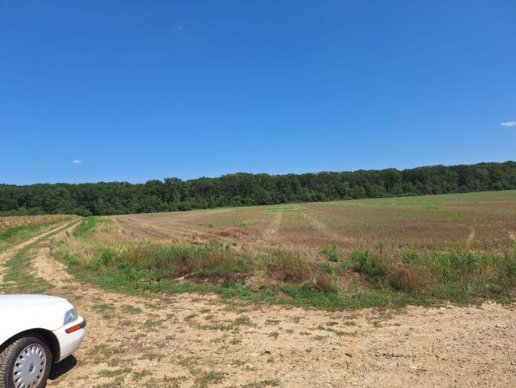 Vand teren 2 ha cu deschidere spre padure. - 10