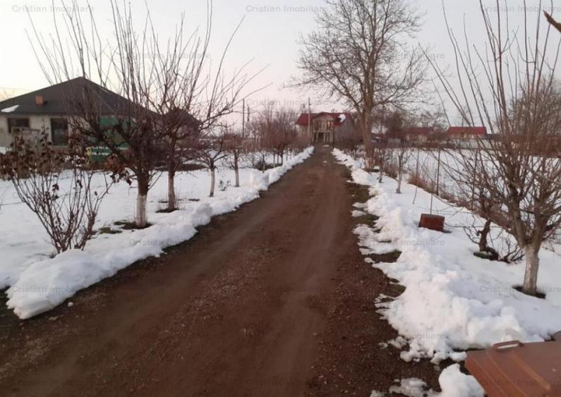 Casa 2 camere 80mp construiti Cazasu 5000 mp teren - 8