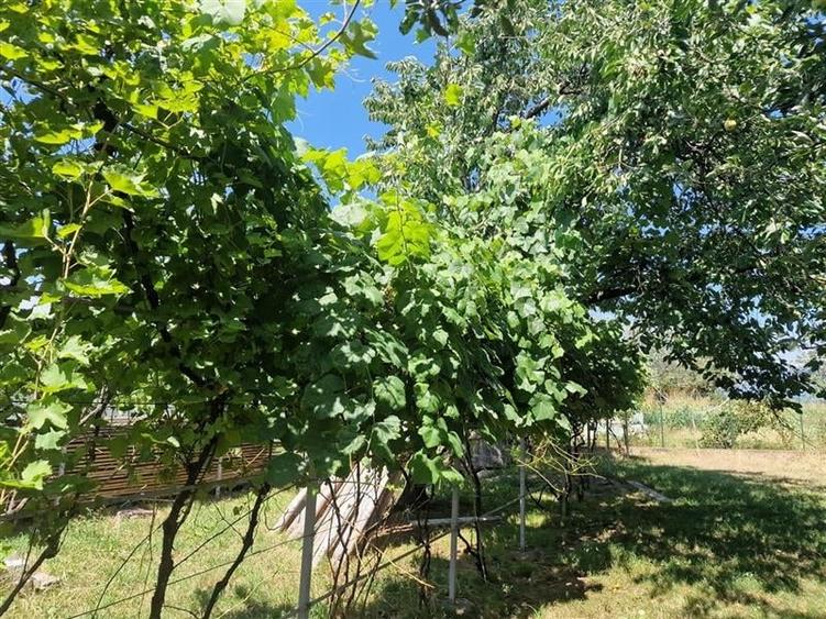 Casa traditionala, cu 2.000mp teren roditor, Izvoarele, Prahova - 11