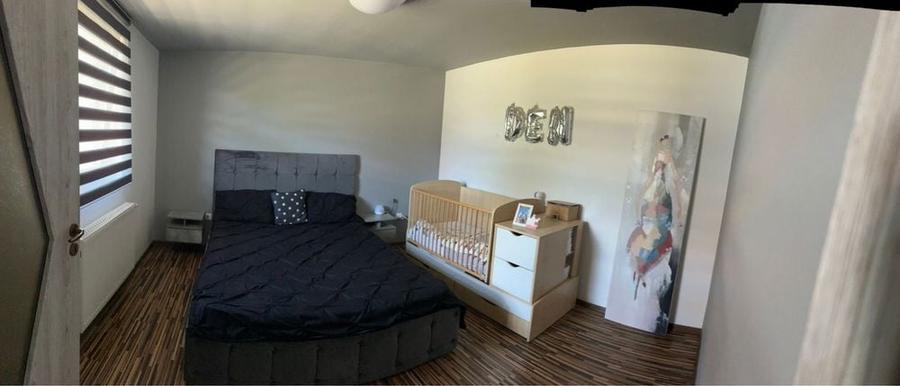 Vand casa Sanpetru Mic 33km de Timisoara - 4