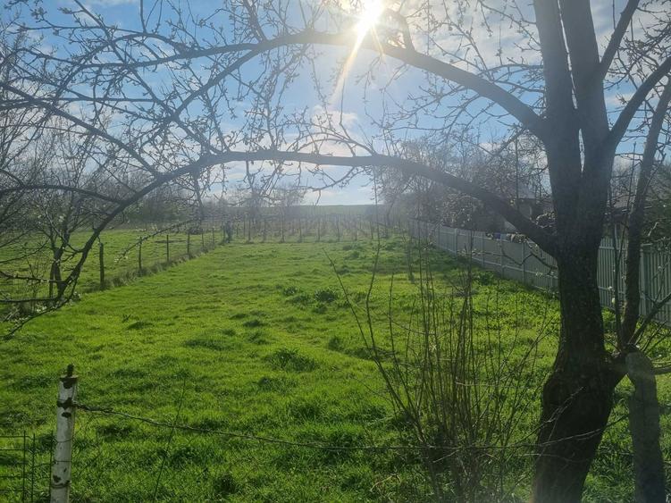 Teren vanzare - Rusenii noi - 1