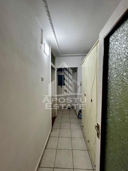 Apartament 3 camere, parter inalt, zona Lipovei, Timisoara, jud.Timis - 13