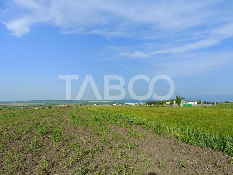 Teren 5000 mp in apropiere de case in Sura Mica - pretabil investitie - 2