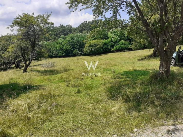 Teren Extravilan situat la intersectia DN1 cu Transfagarasan - 1