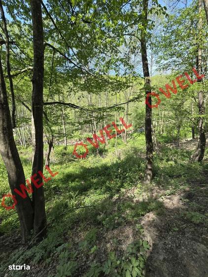 De vanzare teren extravilan in Kuvaszo! - 9