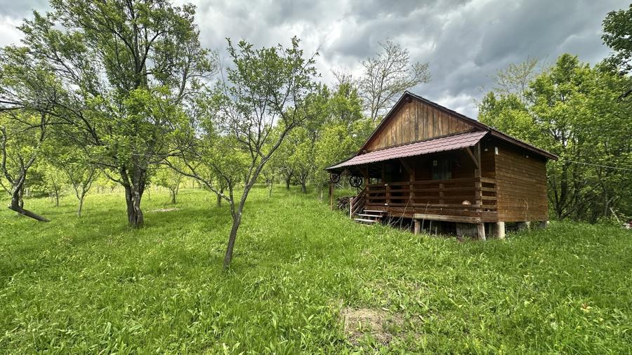 Teren intravilan 3102mp zona Racovita-Blanoiu - 2