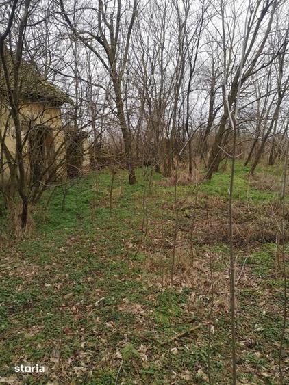 Vand 36% din teren cu casa demolabila in satul Gad - 3
