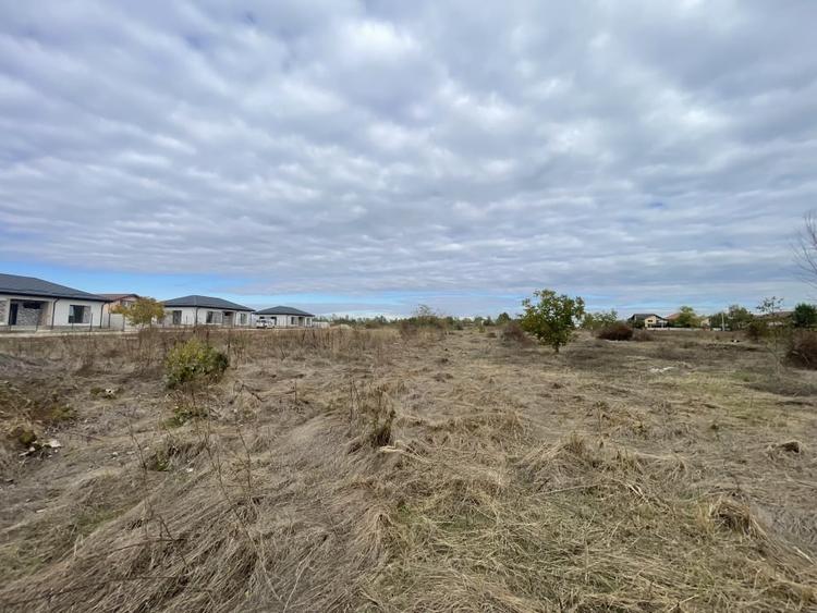 Domnesti, Drumul Targului, teren 1876 mp, 66ml x 28 ml, utilitati la strada - 2