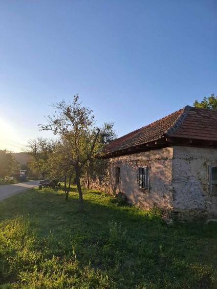 Casa cu teren generos de vanzare in Goruia - 6