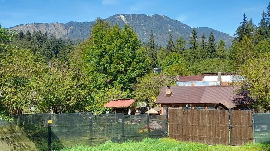 Pensiune in stilul arhitectural al cabanelor austriece, 5000 mp, teren - 13