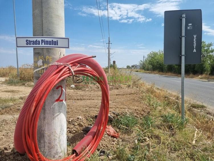 TEREN INDUSTRIAL 20.000 MP - TANGANU - A2 PUZ APROBAT - 15