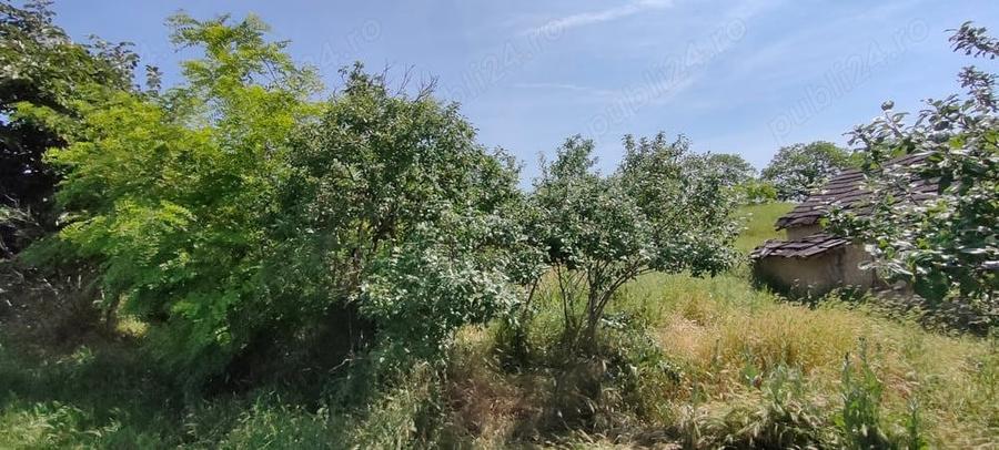 Vand teren Adamclisi judetul Constanta - 4