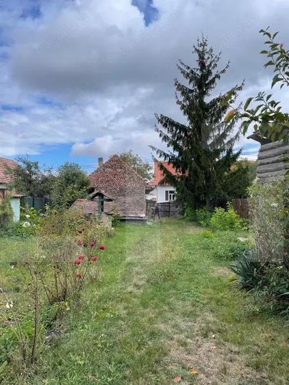 Casa ?araneasca in centrul localita?ii Ilieni teren 832 mp. - 5