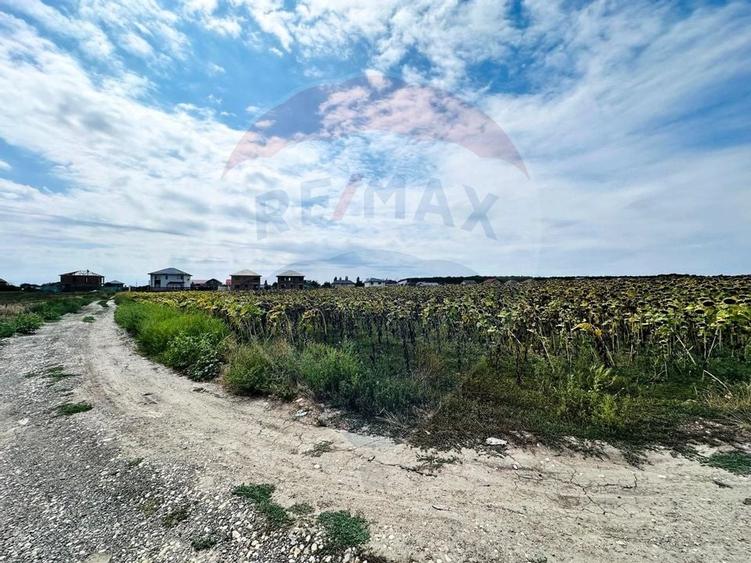 Teren 14.863mp, deschidere 42mp, acces 3 laturi - Ciorogarla, langa A0 - 6