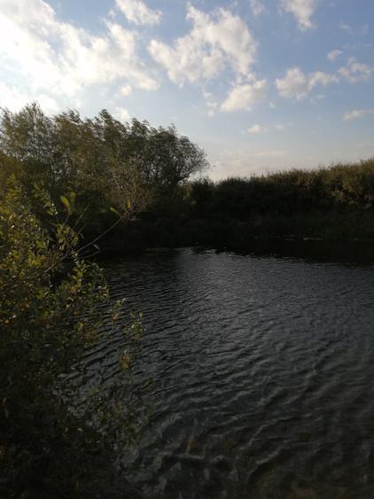 De vanzare teren cu Luciu de apa,  ideal investiție în  domeniu de pescarii - 2