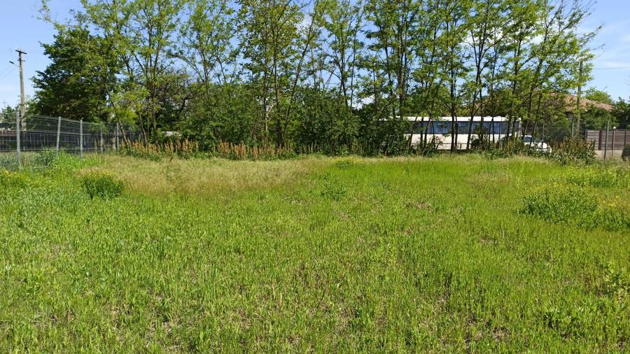 Teren intravilan pentru casa - 3