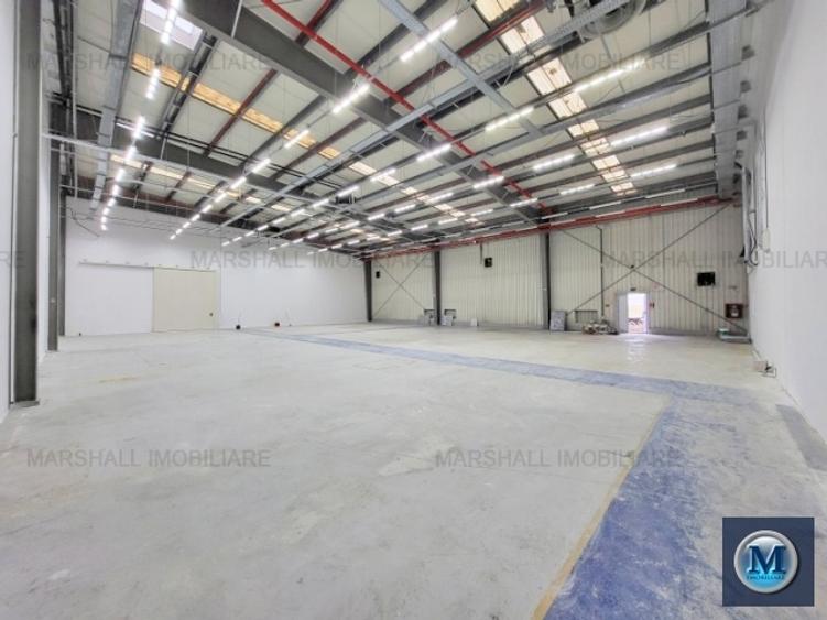 Spatiu industrial de vanzare in Aricestii Rahtivani #16443 - 1