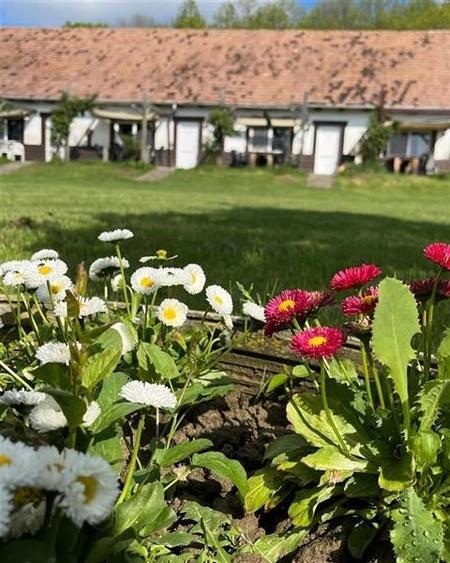 Transilvania Camping, domeniu de 14.400mp, Sanmarghita de Mures:2cladiri, aparta - 2