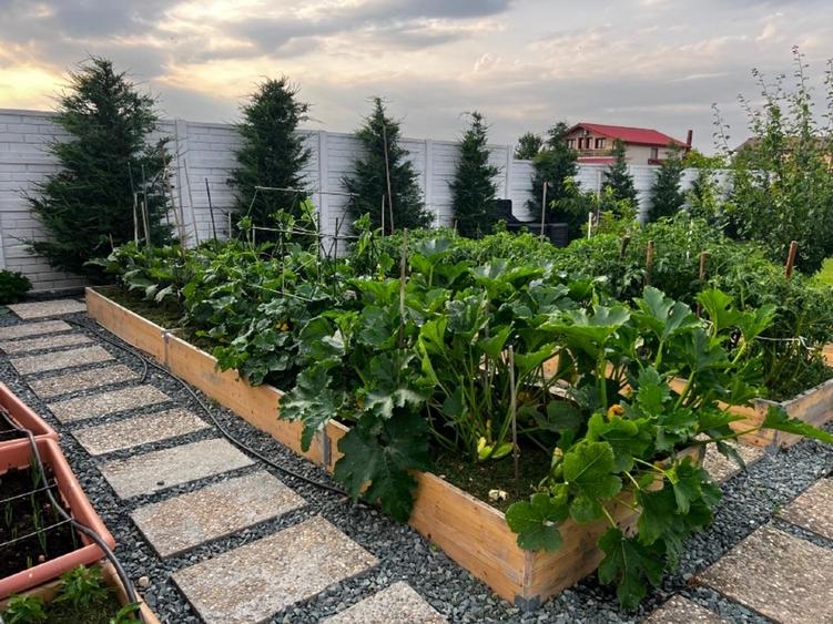 Teren anexa + livada, toate utilitățile - 14