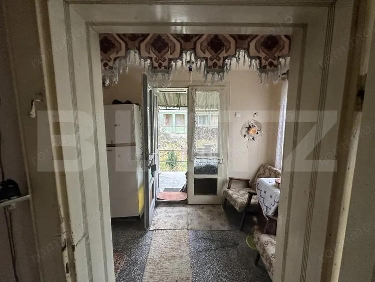 Teren 3000 mp + 2 case de vanzare-Ca?eiu - 15