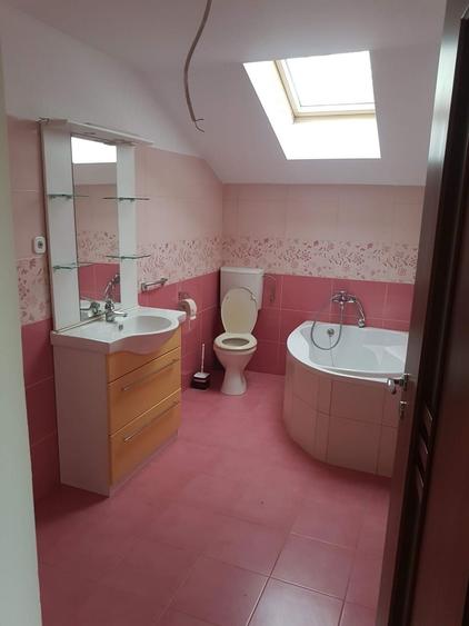 Casa de inchiriat individuala MOSNITA NOUA - 1