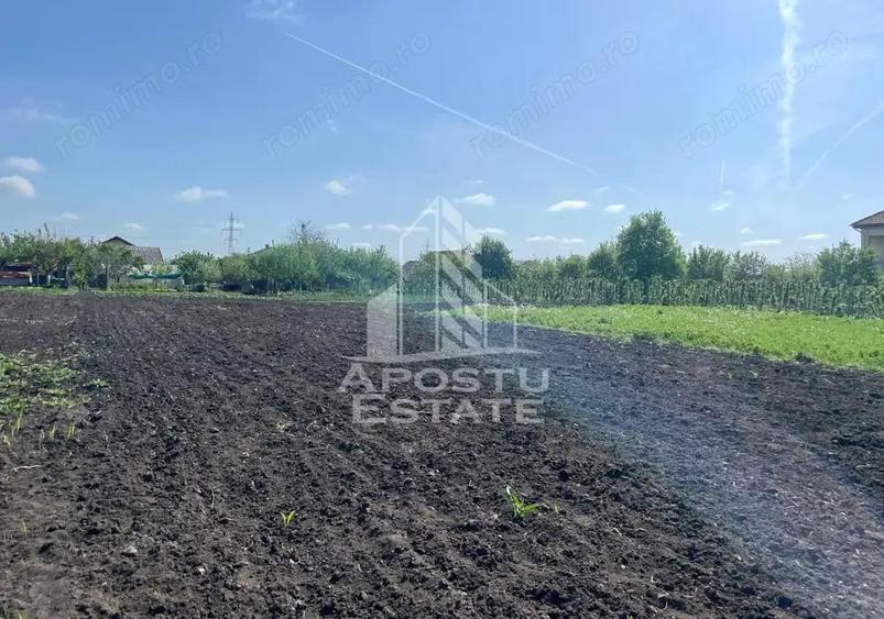 Casa individuala cu curte individuala si gradina - Zona Gai - 5