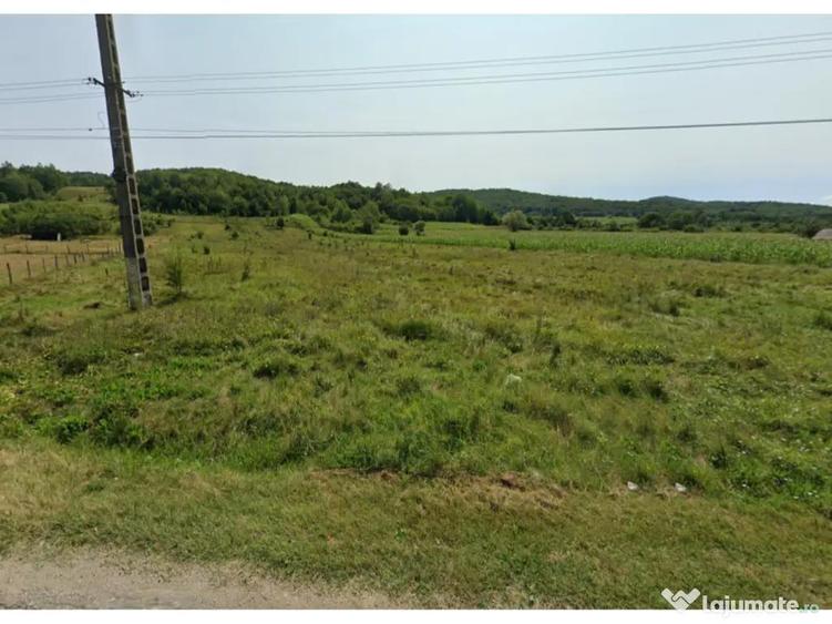 Teren 18.480 mp de vanzare Berle?ti, Gorj - 2